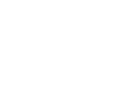 בניית אתרים - משכן